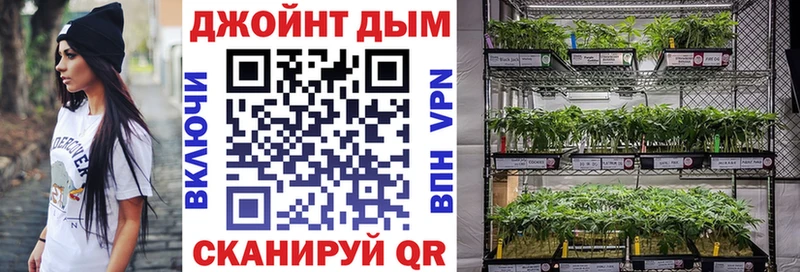 Купить наркотики сайты Новоалтайск Псилоцибиновые грибы  Бутират  ГАШИШ  Конопля  Амфетамин  А ПВП 