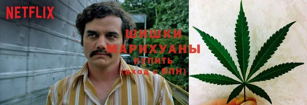 ПСИЛОЦИБИНОВЫЕ ГРИБЫ Карталы