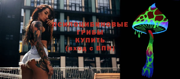 mix Карпинск