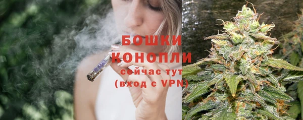 ПСИЛОЦИБИНОВЫЕ ГРИБЫ Карталы