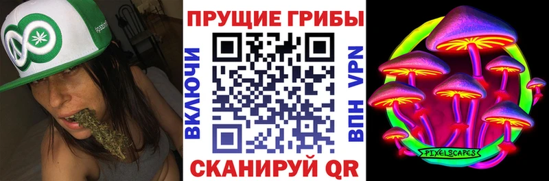 Псилоцибиновые грибы ЛСД  Новоалтайск 